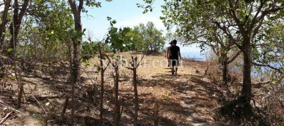  قطعة أرض في West Nusa Tenggara, Indonesia 12828متر مربع رقم 4319 6