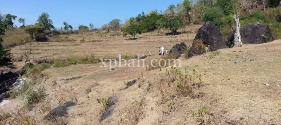  قطعة أرض في West Nusa Tenggara, Indonesia 12828متر مربع رقم 4319 8