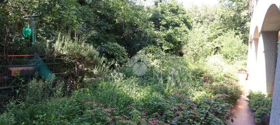 3 Schlafzimmer Wohnung in Trieste, Italy, Nr. 329404 39