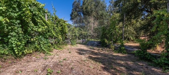 3 bedrooms House in Gondoriz, Portugal No. 219278 37