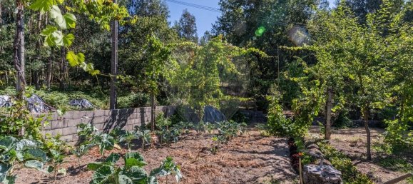 3 bedrooms House in Gondoriz, Portugal No. 219278 42