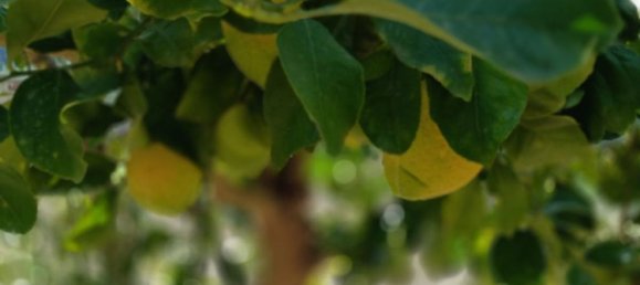 Casa de 7 divisões em Tollo, Italy N.º 205093 5