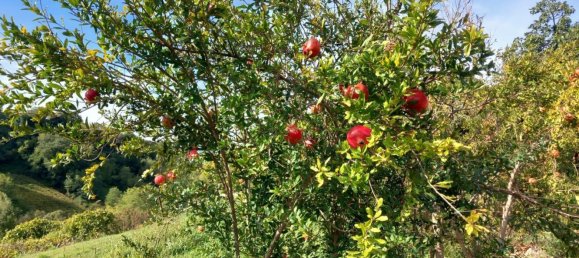 Casa de 7 divisões em Tollo, Italy N.º 205093 18
