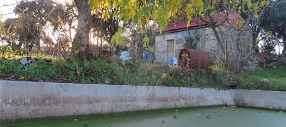 Casa de 9 dormitorios en Fundao, Portugal No. 90666 2