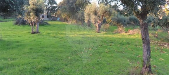 Casa de 9 dormitorios en Fundao, Portugal No. 90666 31