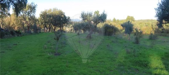 Casa de 9 dormitorios en Fundao, Portugal No. 90666 4