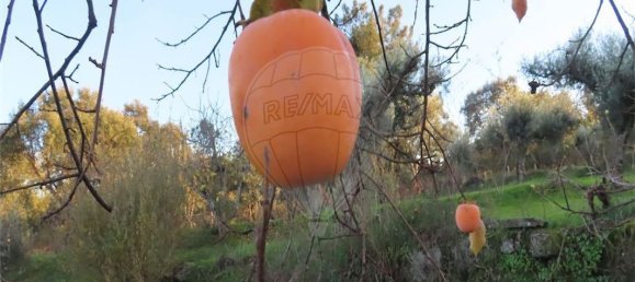 Casa de 9 dormitorios en Fundao, Portugal No. 90666 41