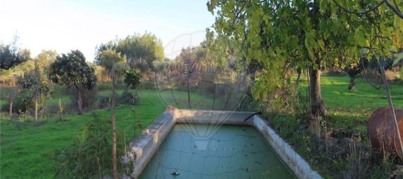 Casa de 9 dormitorios en Fundao, Portugal No. 90666 6