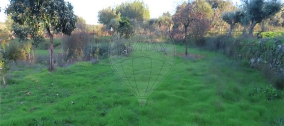 Casa de 9 dormitorios en Fundao, Portugal No. 90666 3