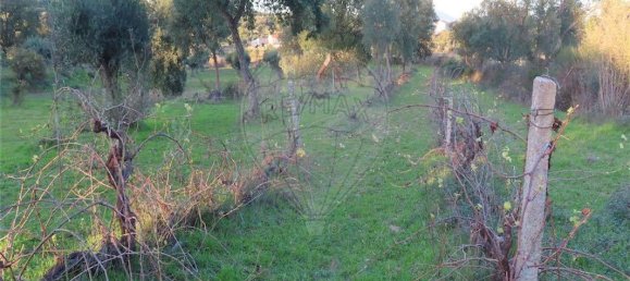 Casa de 9 dormitorios en Fundao, Portugal No. 90666 45