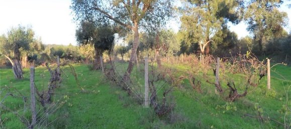 Casa de 9 dormitorios en Fundao, Portugal No. 90666 30