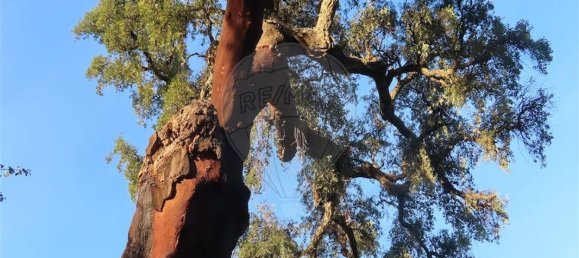 Casa de 9 dormitorios en Fundao, Portugal No. 90666 21