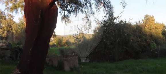 Casa de 9 dormitorios en Fundao, Portugal No. 90666 24