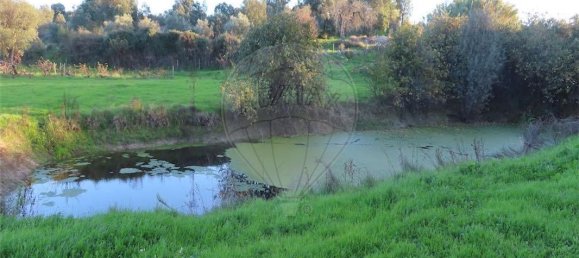 Casa de 9 dormitorios en Fundao, Portugal No. 90666 19