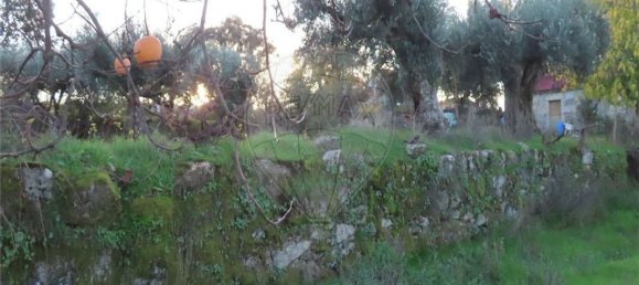 Casa de 9 dormitorios en Fundao, Portugal No. 90666 42