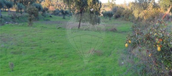 Casa de 9 dormitorios en Fundao, Portugal No. 90666 35