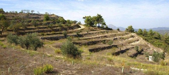  House in Vall De Gallinera, Spain No. 284839 6