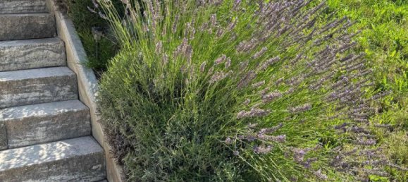 Casa T1 em Tieschen, Austria N.º 235917 30