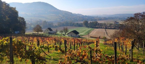 Casa T1 em Tieschen, Austria N.º 235917 31