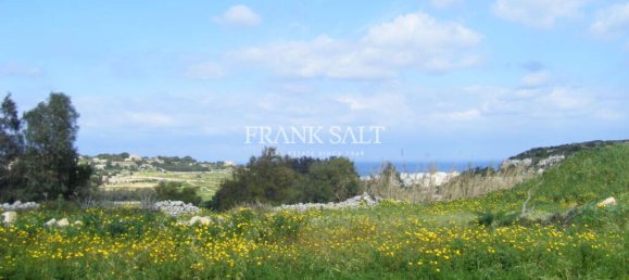 Ферма с 4 спальнями в Моста, Мальта № 11140 6