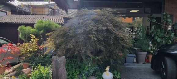 Здание 298м² в Кальв, Германия № 245007 12