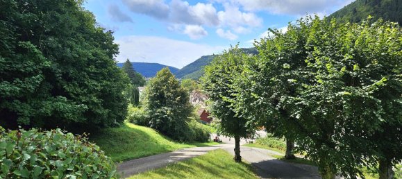 Здание 298м² в Кальв, Германия № 245007 7