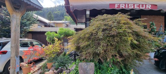 Здание 298м² в Кальв, Германия № 245007 6