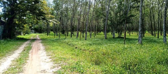  قطعة أرض في Mai Khao, Thailand 9600متر مربع رقم 68446 5