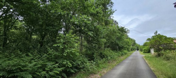  Land in Mezos, France No. 119220 8