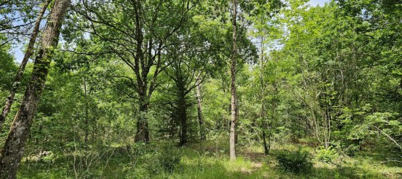  Land in Mezos, France No. 119220 3