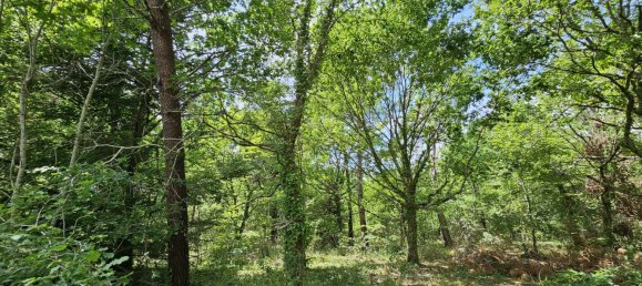  Land in Mezos, France No. 119220 6