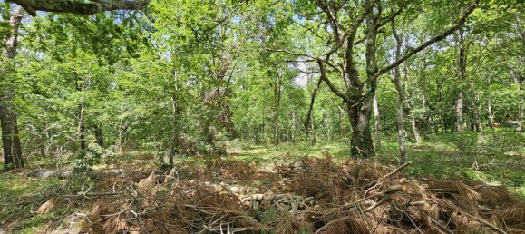  Land in Mezos, France No. 119220 7