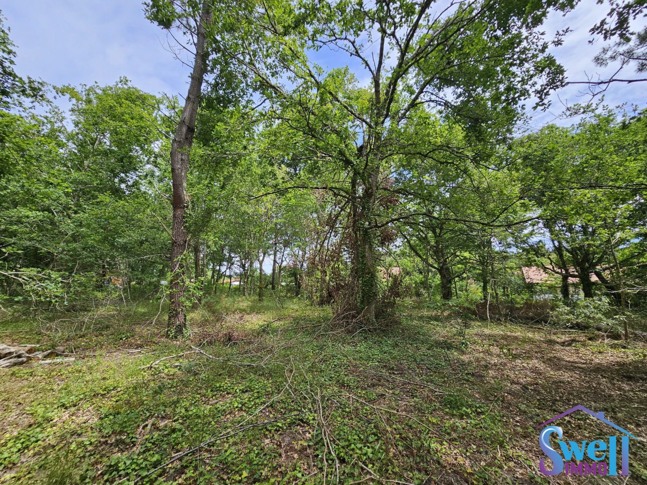  Land in Mezos, France No. 119220