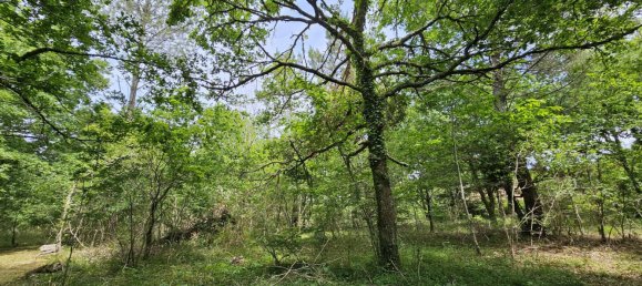  Land in Mezos, France No. 119220 4