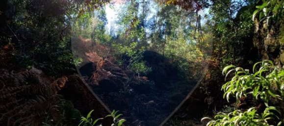 8140m² Land in Braga, Portugal No. 32140 3