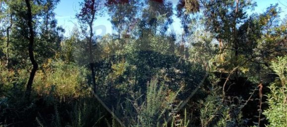 8140m² Land in Braga, Portugal No. 32140 4