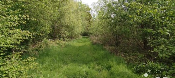  Land in Vezilly, France No. 77236 6