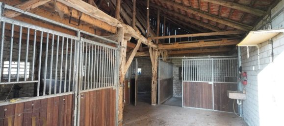 3 غرف نوم مزرعة في County of Bentheim, Germany رقم 138060 24