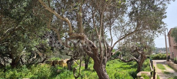 2 bedrooms Villa in Marsala, Italy No. 68446 21