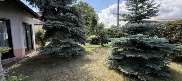 5-Zimmer Haus in Leipzig, Germany, Nr. 265957 25