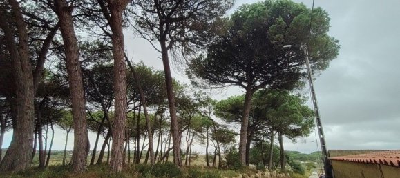 9 chambres Maison à Sintra, Portugal No. 147941 46