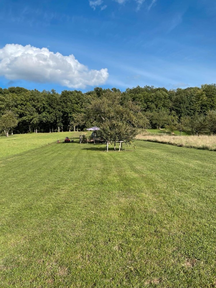  Land in Main-Kinzig, Germany No. 292302