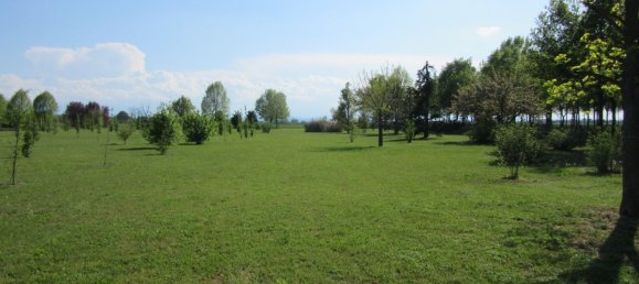 15 rooms Villa in Bentivoglio, Italy No. 151005 4