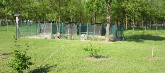 15 rooms Villa in Bentivoglio, Italy No. 151005 47