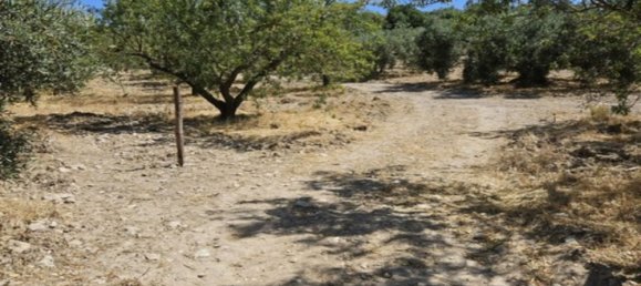 3 chambres Maison à Malaga, Spain No. 173498 28