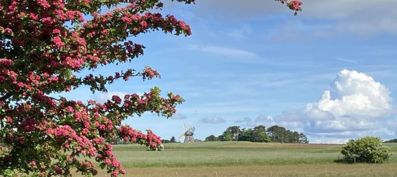 9غرفة تاون هاوس في Nordfriesland, Germany رقم 77172 4