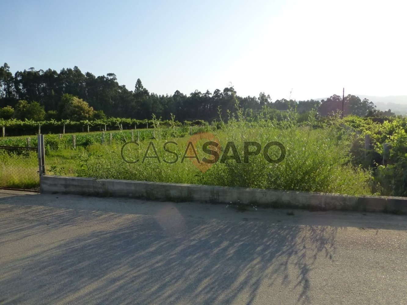  Land in Ganfei, Portugal No. 328003