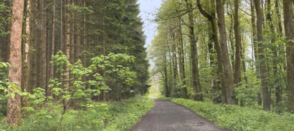 15000m² Land in Lahn-Dill, Germany No. 222529 2