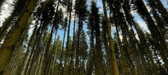 15000m² Land in Lahn-Dill, Germany No. 222529 8