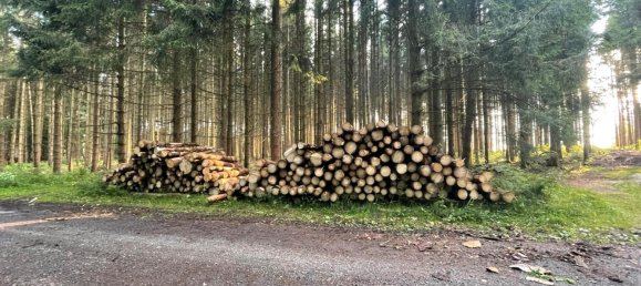 15000m² Land in Lahn-Dill, Germany No. 222529 5